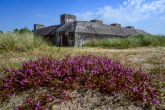 Blåvand