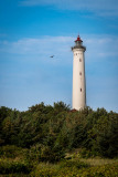 Leuchtturm Lyngvig