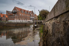 Ribe
