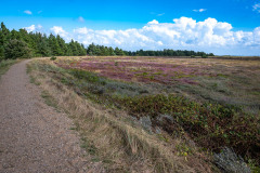 Rømø