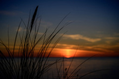 Rubjerg