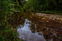 Wanderung von Roetgen nach Ostbelgien Genusstour