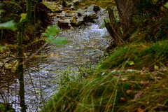 Wanderung von Roetgen nach Ostbelgien Genusstour