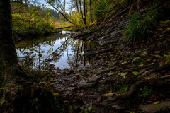 Wanderung von Roetgen nach Ostbelgien Genusstour