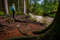 Wanderung von Roetgen nach Ostbelgien Genusstour