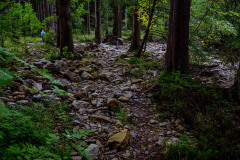 Wanderung von Roetgen nach Ostbelgien Genusstour
