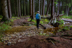 Wanderung von Roetgen nach Ostbelgien Genusstour