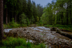 Wanderung von Roetgen nach Ostbelgien Genusstour