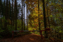 Kotthoff am Hennesee