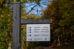 Kotthoff am Hennesee