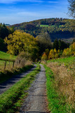 Kotthoff am Hennesee