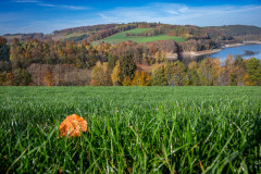 Kotthoff am Hennesee