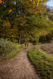 Felsenmeer Hemer