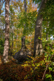 Felsenmeer Hemer