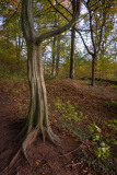 Felsenmeer Hemer