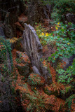 Felsenmeer Hemer