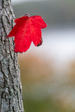 Sauerland Herbst 2022