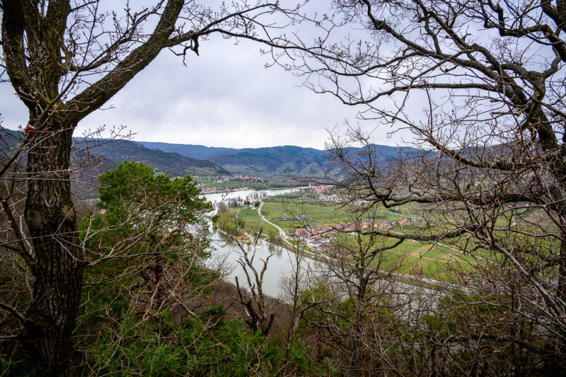 Bergern im Dunkelsteinerwald