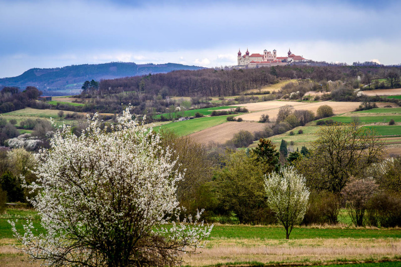 Bergern im Dunkelsteinerwald