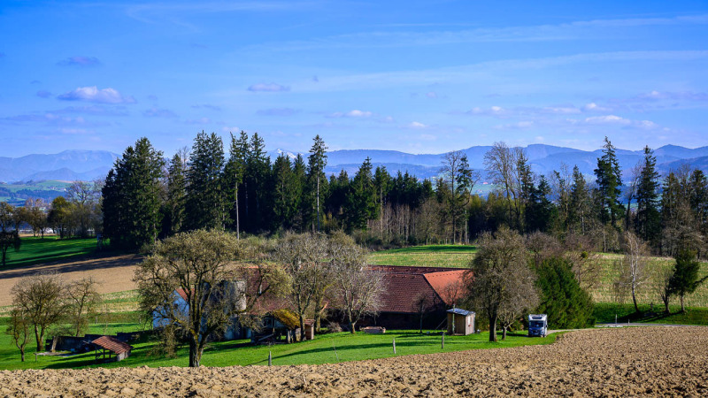 St. Peter in der Au