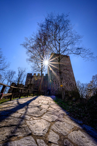 Windegg