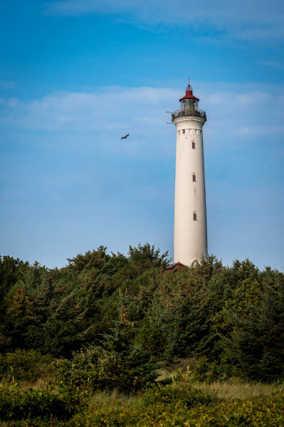 Leuchtturm Lyngvig