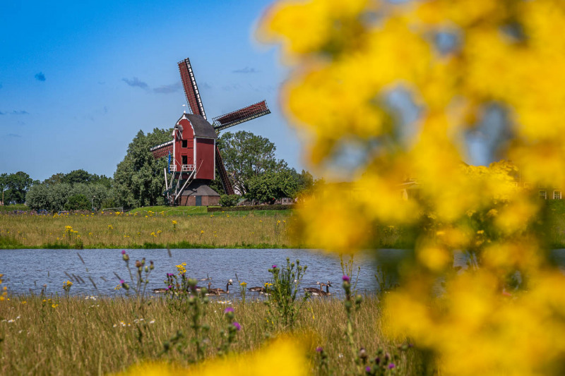 Molen Tot Voordeel en Genoegen