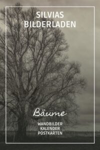 Bilderladen Bäume - https://www.pictrs.com/derlachphotography/2766373